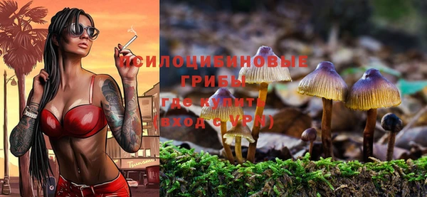 экстази Баксан