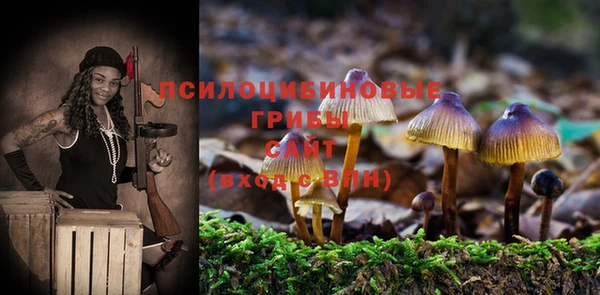 крисы Балабаново