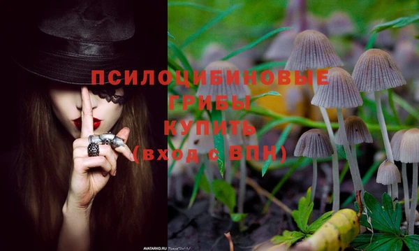 экстази Баксан