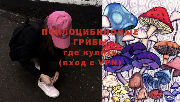 экстази Баксан