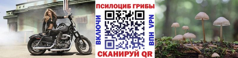 Галлюциногенные грибы мицелий  Козельск 